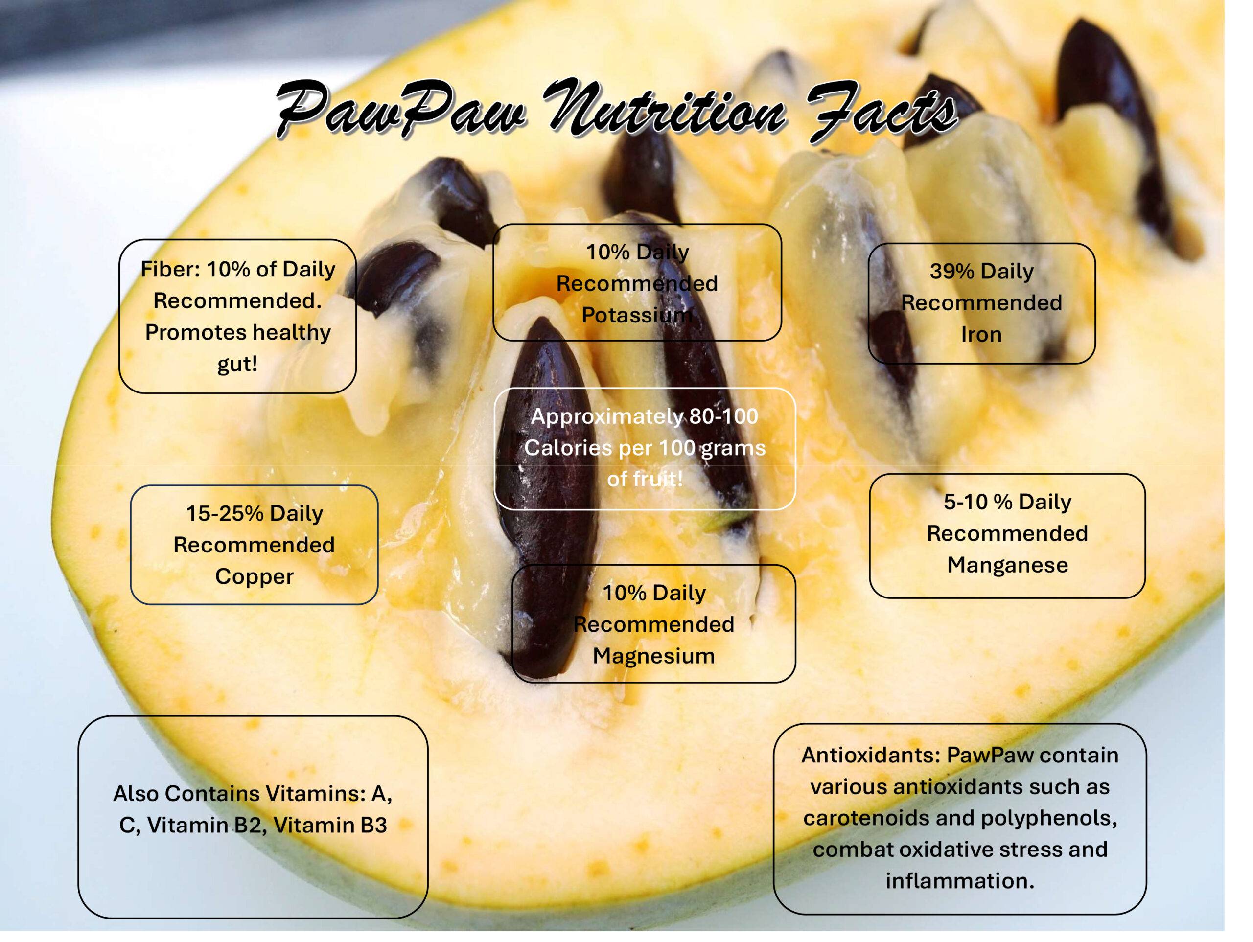 Pawpaw U-Pick nutrition infographic highlighting vitamin C, antioxidants, and other health benefits of pawpaw fruit