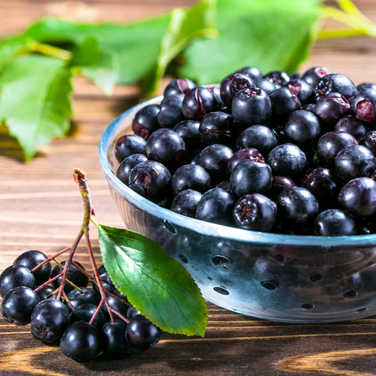 Fresh aronia berries in a ceramic bowl, highlighting their deep purple color and antioxidant-rich nutrition.