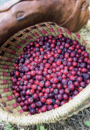 Juneberries - Fresh Fruit