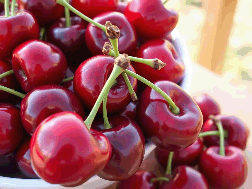 Fresh bush cherries in a bowl, glossy red and ripe for harvest.