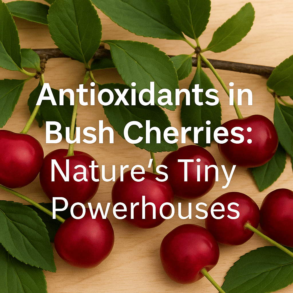 Fresh bush cherries on a branch with leaves, highlighting antioxidants in bush cherries on a rustic wooden background
