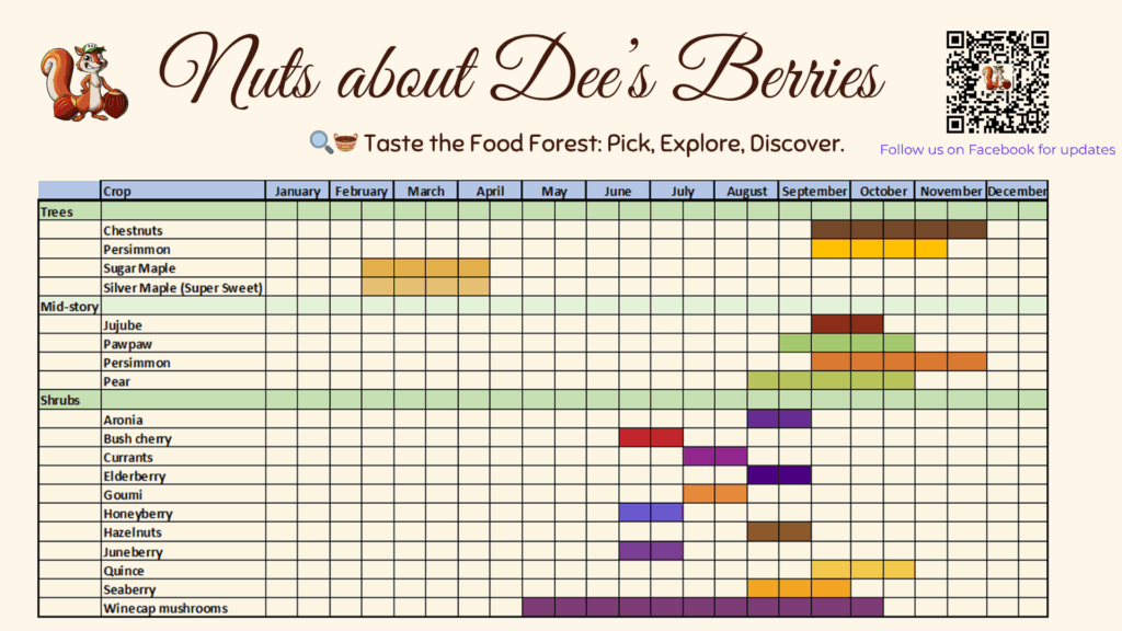 Harvest calendar showing seasonal fruit, nut, and shrub ripening times for Nuts about Dee’s Berries farm in Brodhead, Wisconsin. Includes chestnut, pawpaw, persimmon, aronia, currants, seaberry, and other perennial crops grown in an agroforestry system.