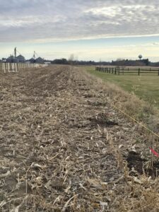 View of the field at Nuts About Dee’s Berries in late fall, showing the final pre-planting condition before trees and shrubs are installed in spring 2026.