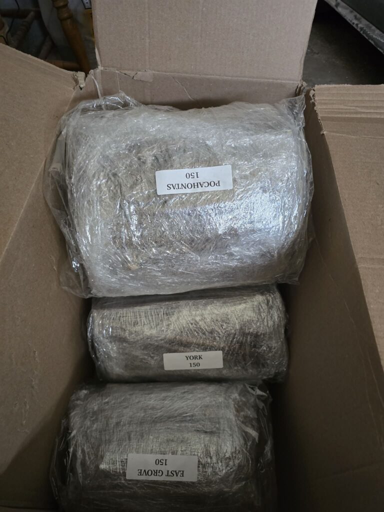 Box of labeled elderberry cuttings wrapped for propagation, including Pocahontas, York, and East Grove varieties