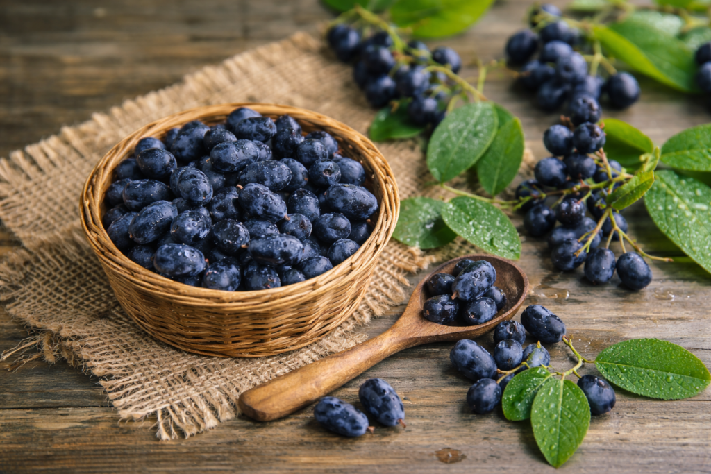 Early-season honeyberries freshly harvested at Nuts about Dee’s Berries in Green County, Wisconsin
