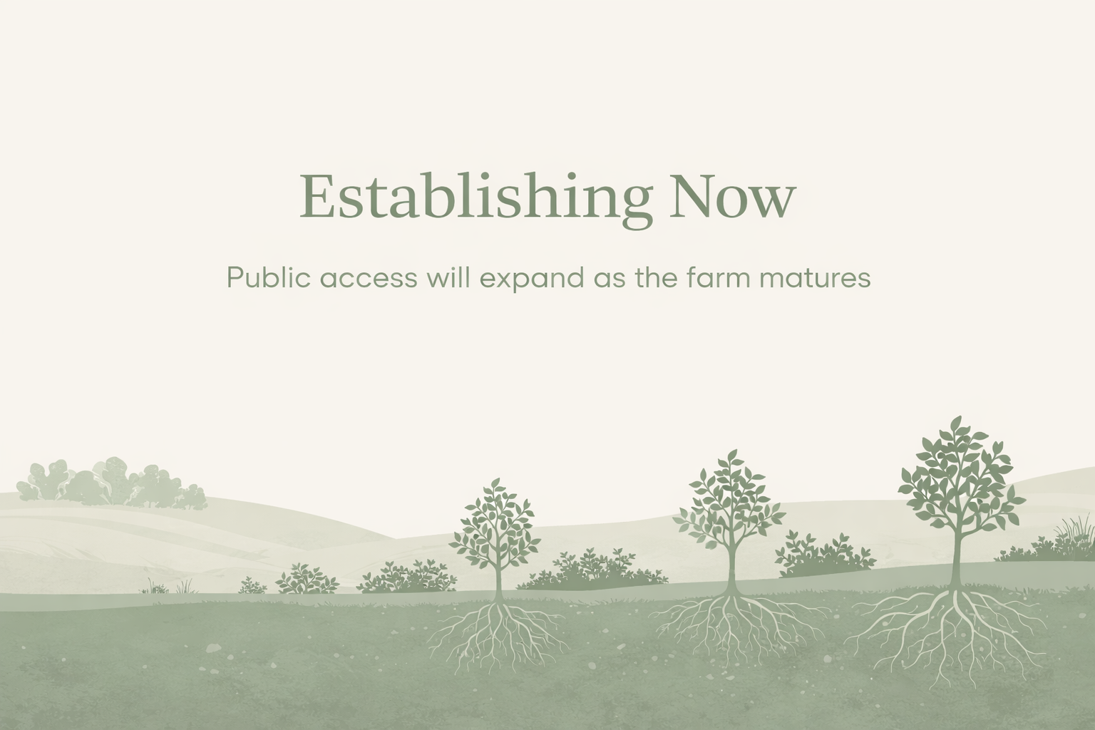 Illustration showing a developing food forest with young trees and roots, indicating the farm is establishing now and not yet open to the public.