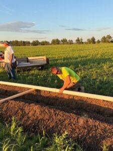 Installing PVC mainline pipe for the orchard irrigation system at Nuts About Dee's Berries.