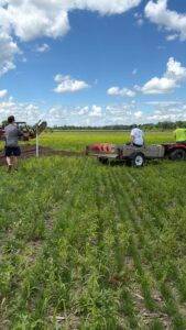 Crew installing communication wire for the orchard irrigation system at Nuts About Dee's Berries.