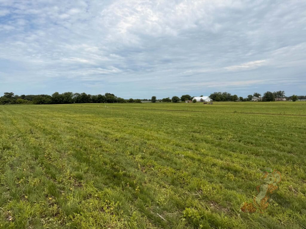 Open field at Nuts About Dee's Berries before establishing a 25-acre USDA EQIP agroforestry conservation project in Wisconsin.