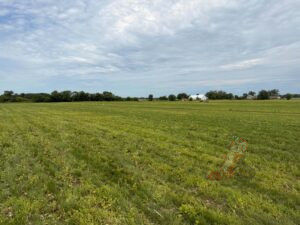 Open field at Nuts About Dee's Berries before establishing a 25-acre USDA EQIP agroforestry conservation project in Wisconsin.