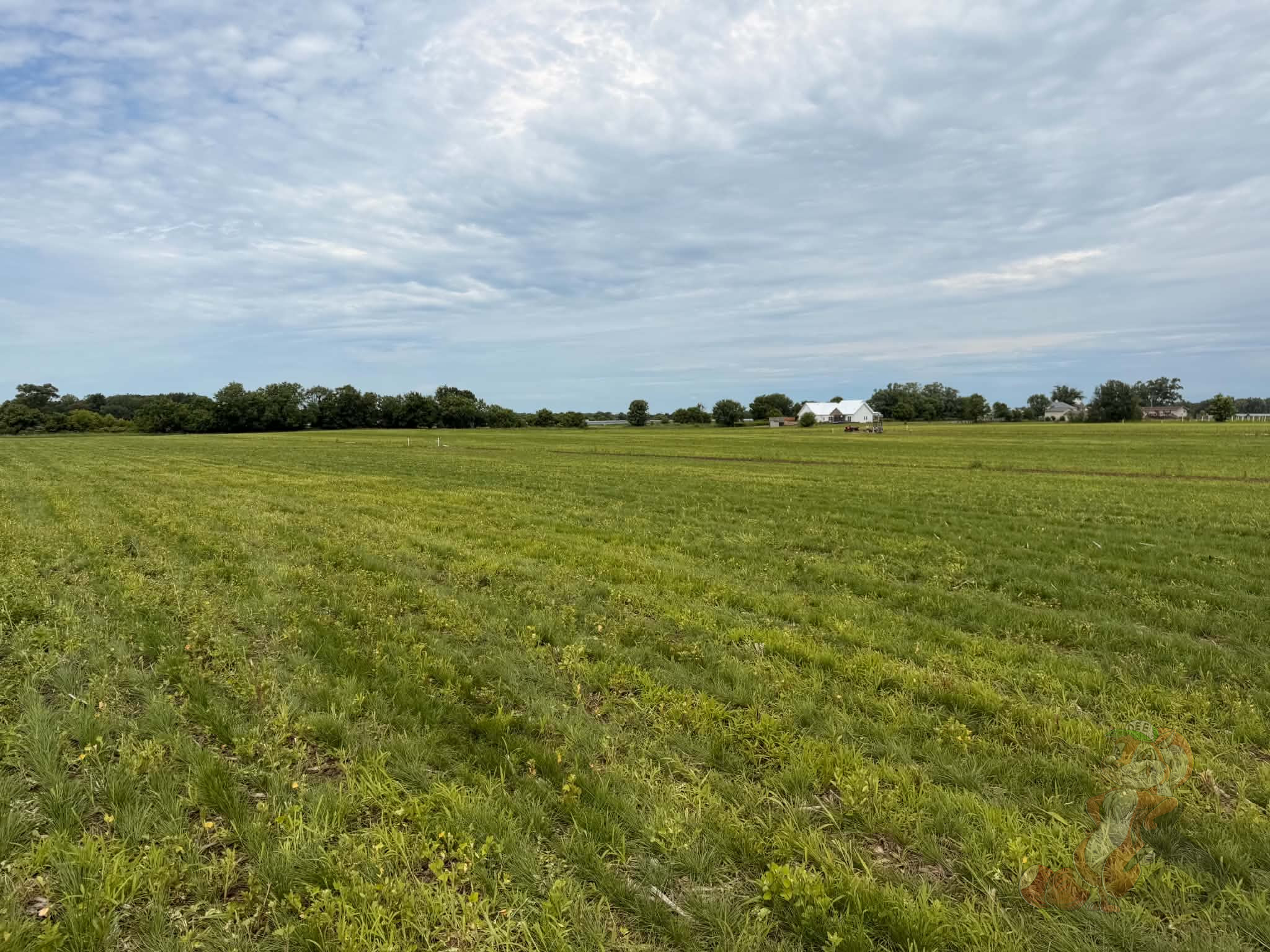 Open field at Nuts About Dee's Berries before establishing a 25-acre USDA EQIP agroforestry conservation project in Wisconsin.
