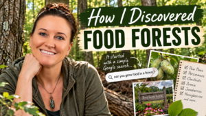 How I accidentally discovered food forests while learning to grow food in the woods